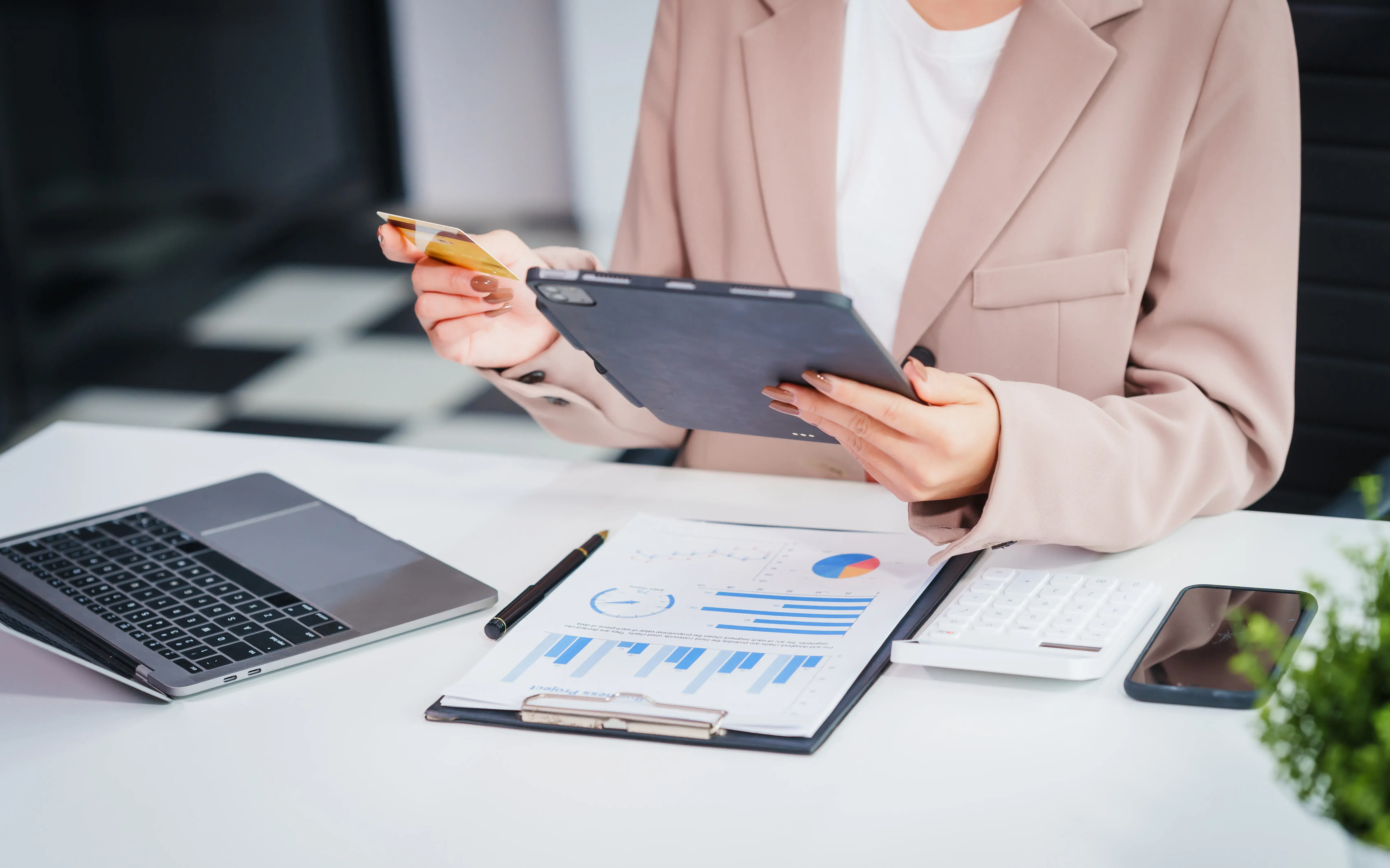 Business Credit Report