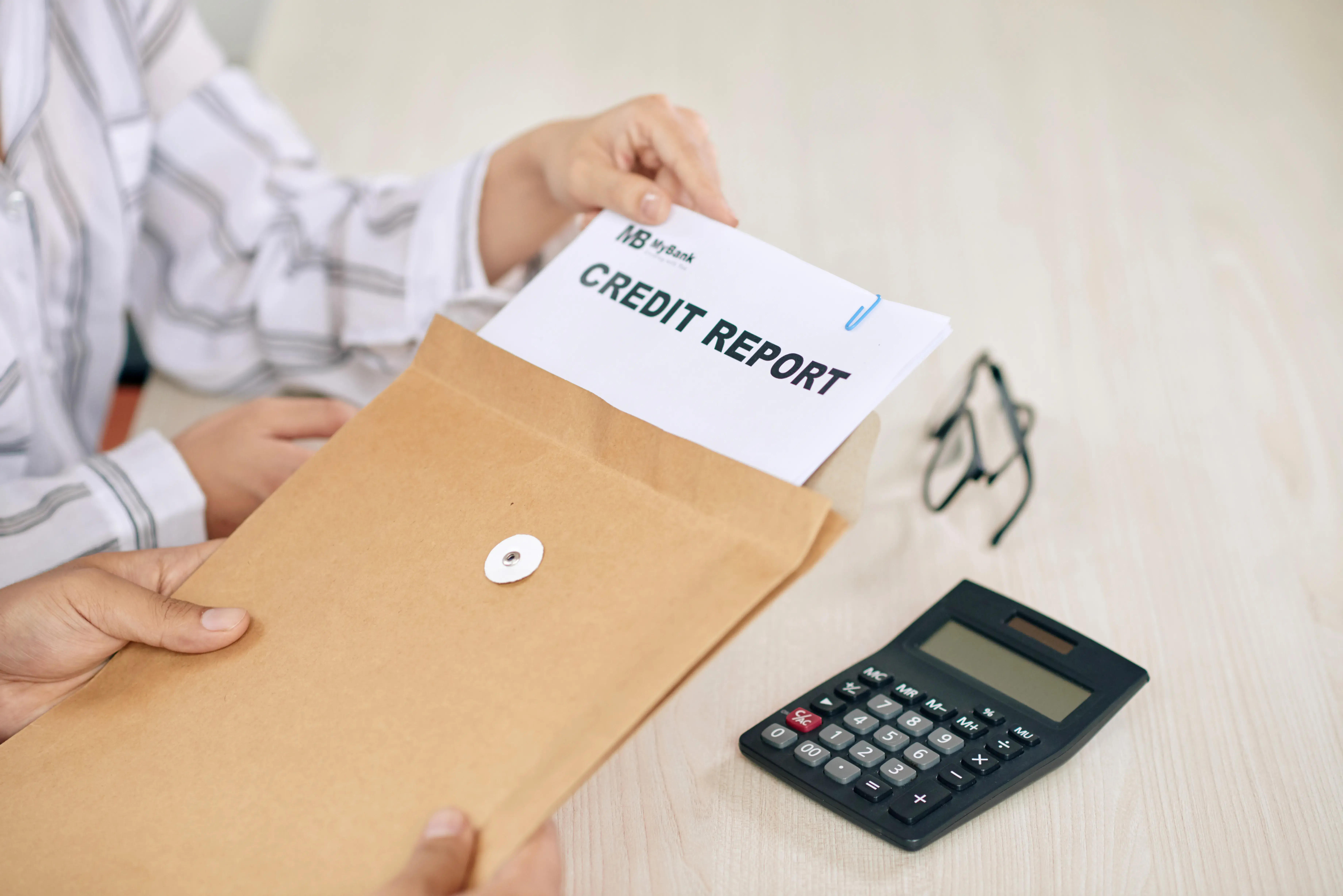 Experian Business Credit Report